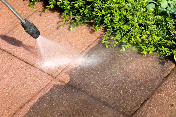 Best Industrial Pressure Washing in Wenona, IL